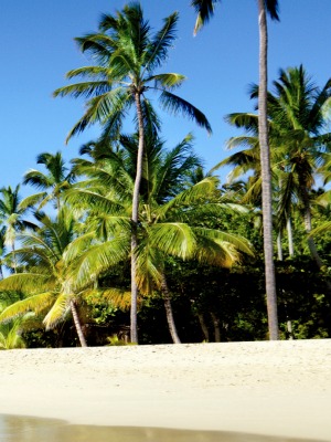 Dominican Republic, Caribbean Island