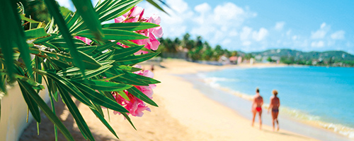 beach in barbados