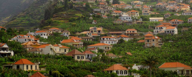 Madeira properties