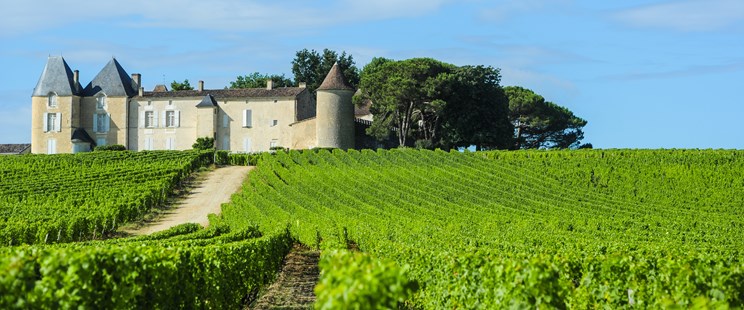 Chateau's for sale in France