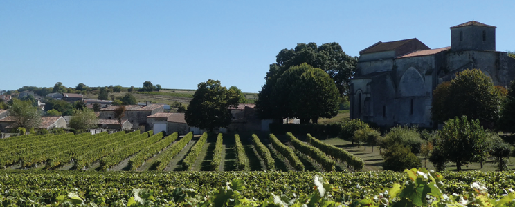 Charente countryside