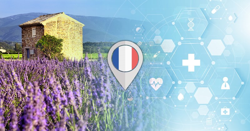 Watch | Ask the Experts about Healthcare in France