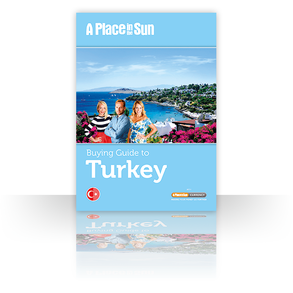Turkey Buying Guide