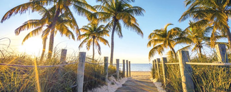 Get our Free Guide to Property in Florida