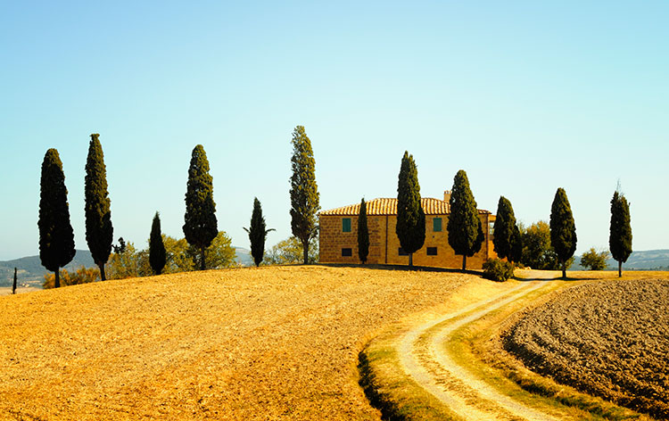 Tuscany 