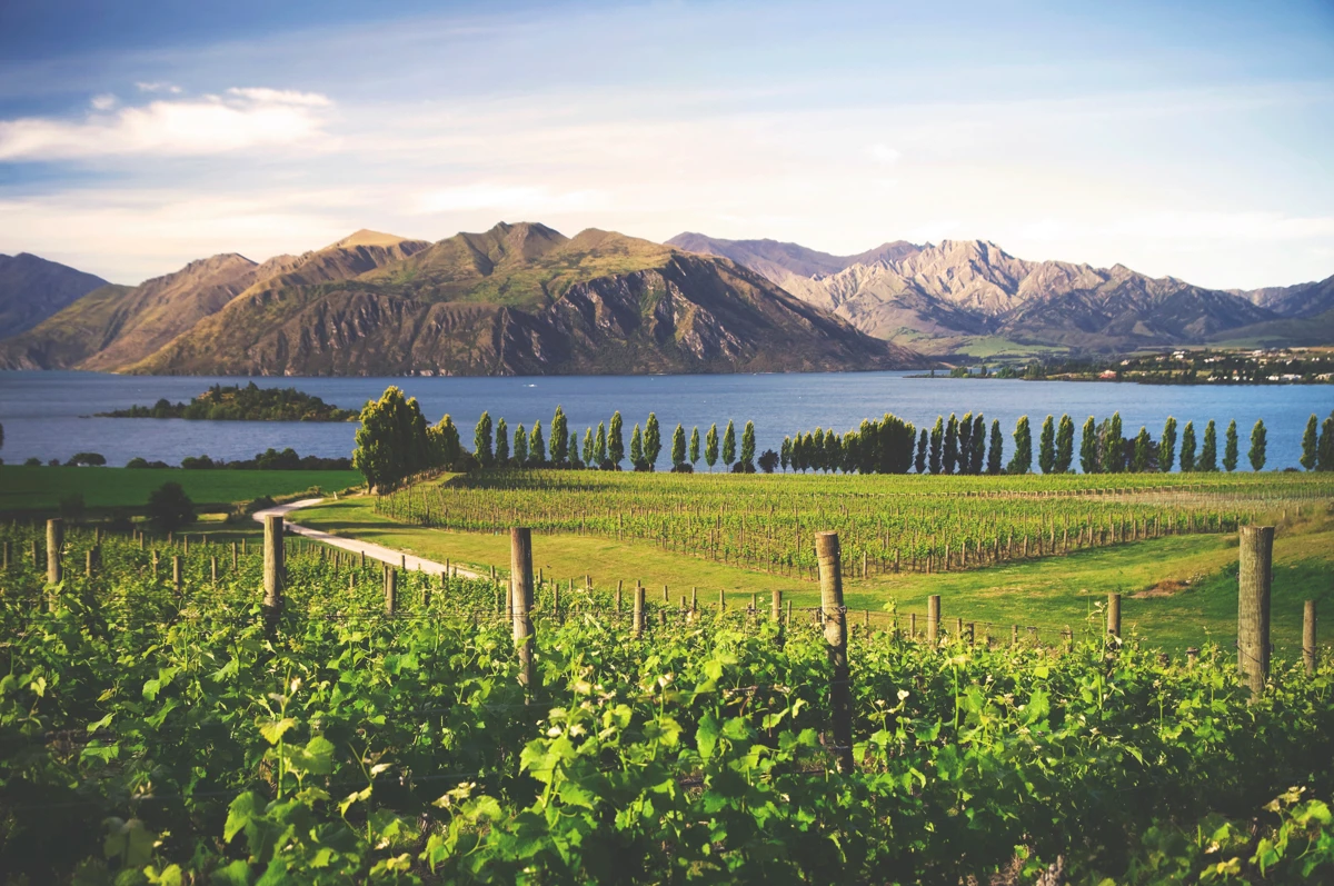 Property For Sale In New Zealand Buy Property In New Zealand property-for-sale-in-new-zealand-buy-property-in-new-zealand
