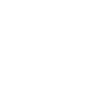 Icône