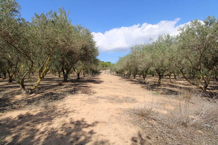 Image No.22-3 Bed Villa for sale