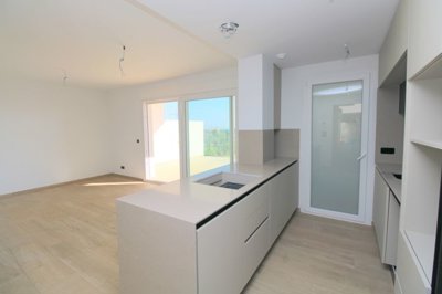 hen272098409420