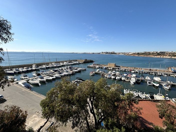 Image No.14-Propriété de 1 chambre à vendre à Cabo Roig