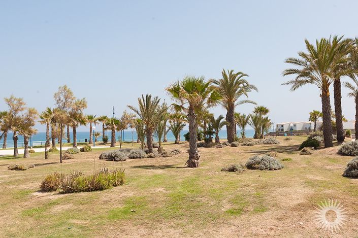 Image No.25-3 Bed Villa for sale