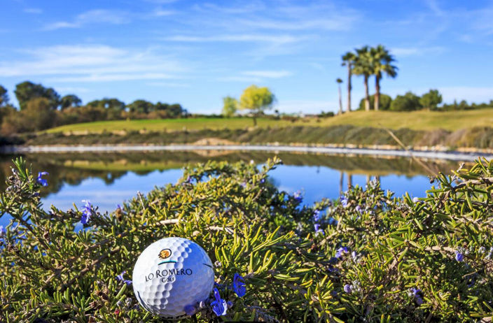 Image No.18-Villa de 3 chambres à vendre à Pilar de la Horadada