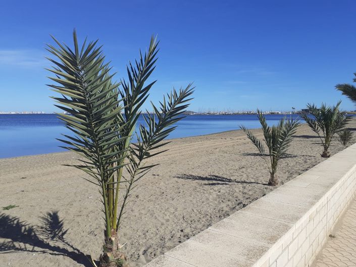 Image No.17-Villa de 3 chambres à vendre à Los Nietos