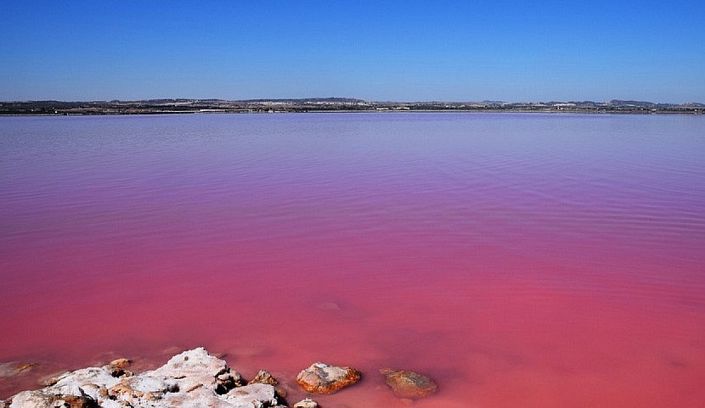 Image No.29-5 Bed Villa for sale