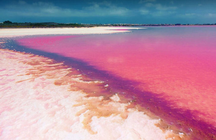 Image No.15-Appartement de 3 chambres à vendre à Los Altos