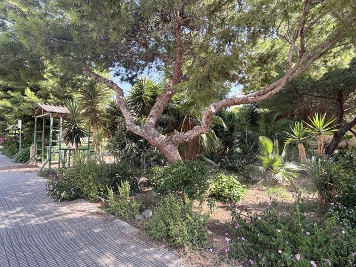 Image No.25-3 Bed Villa for sale