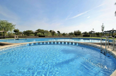 he28207screenshot202026-02-0520at20133444