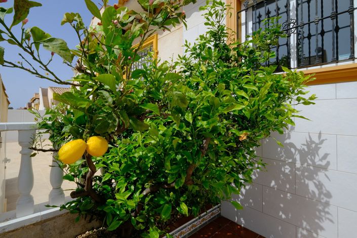 Image No.22-2 Bed Bungalow for sale