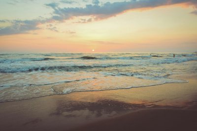 mhk40019sea