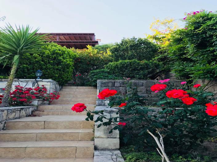 Image No.6-6 Bed Villa / Detached for sale