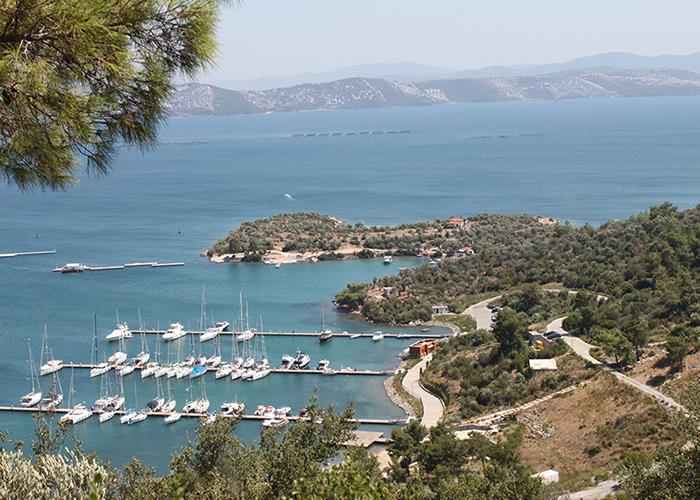 Image No.19-2 Bed Penthouse for sale