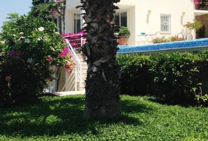 Image No.8-Villa de 3 chambres à vendre à Kalkan