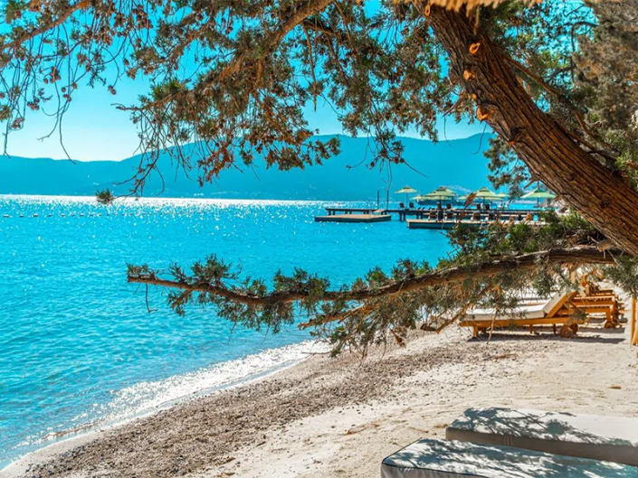 Image No.16-3 Bed Villa for sale