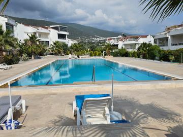 large-central-communal-pool