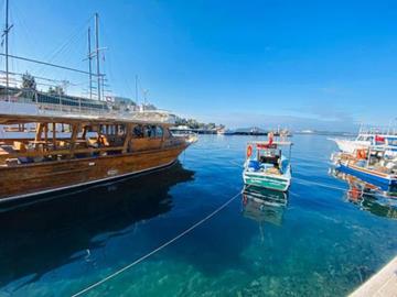harbour