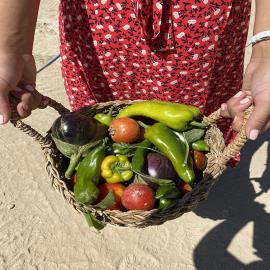 fresh-fruit-and-veg-grown