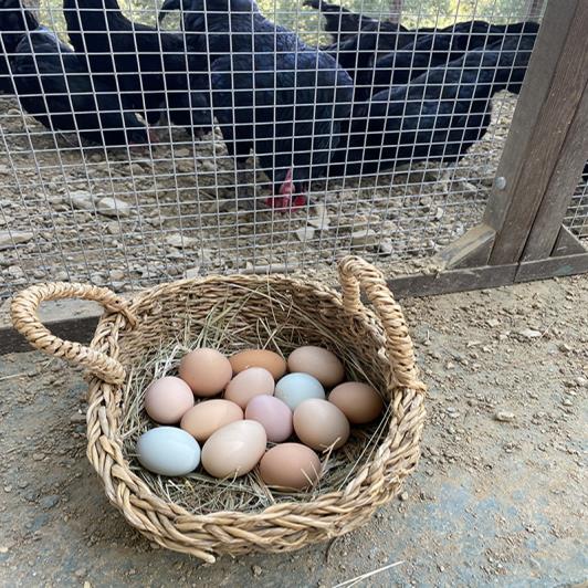 Image No.18-3 Bed Semi-Detached for sale