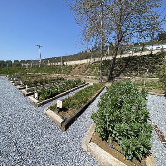 Image No.15-3 Bed Semi-Detached for sale