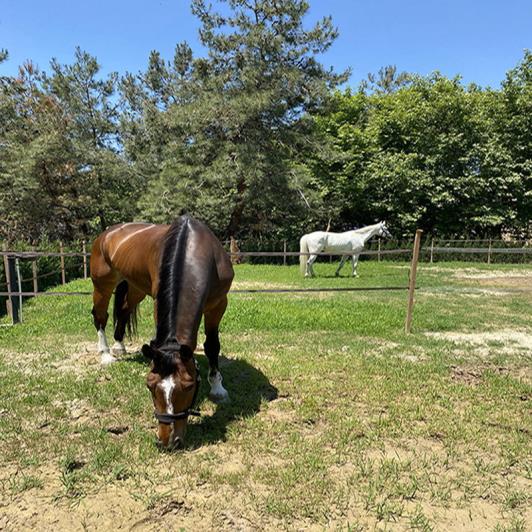 Image No.12-3 Bed Semi-Detached for sale