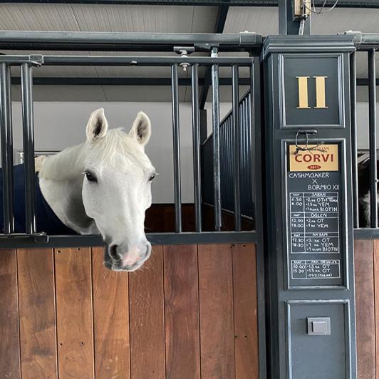 Image No.19-3 Bed Semi-Detached for sale