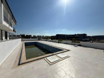 shared-pool