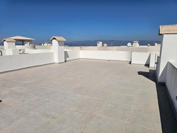 Large-roof-terrace