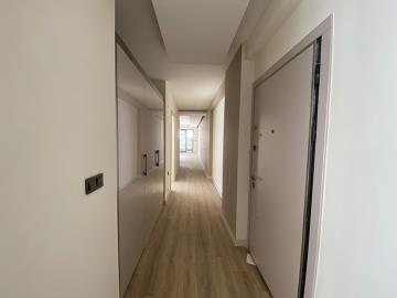 TC1934-entrance-door-and-hallway