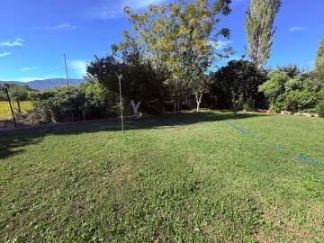 TC1943-extensive-gardens