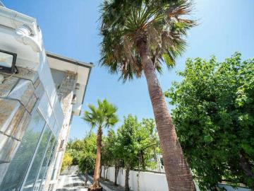 TC1949--Garden-with-mature-trees