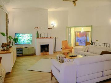 TC1950-lounge-with-a-fireplace