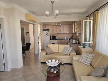 TC1963-open-plan-living