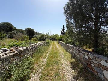 TC1994-boundary-wall