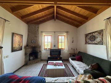 TC1994-decorative-ceilings
