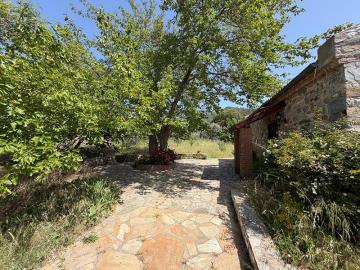 TC1994-established-gardens