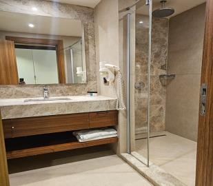 TC2010-large-walk-in-shower