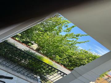 TC2020-garden-view