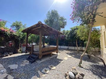 TC2023-garden-gazebo