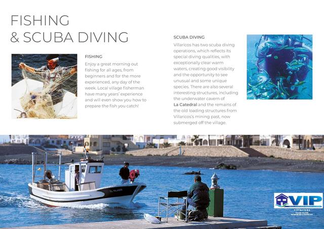 Image No.10-Terre à vendre à Villaricos