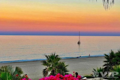 vip8129-playa-marques-55619736