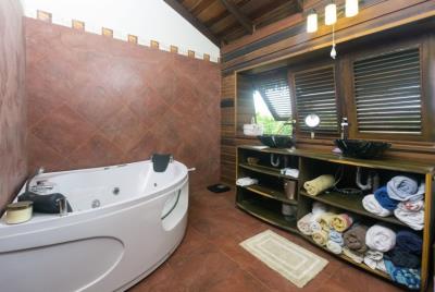 St-Lucia-Homes-Real-Estate---Banyan-Tree-House-Bathroom